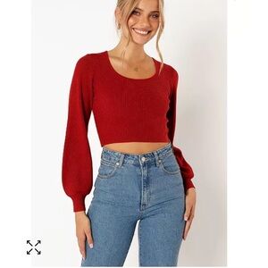 Burgundy Petal and Pup sweater